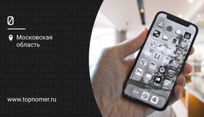 Как сделать экран айфона черно-белым