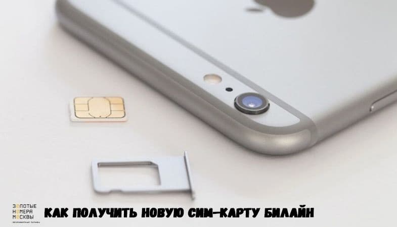 Как получить новую сим-карту Билайн