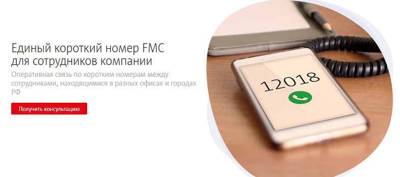 что позволяет услуга fmc