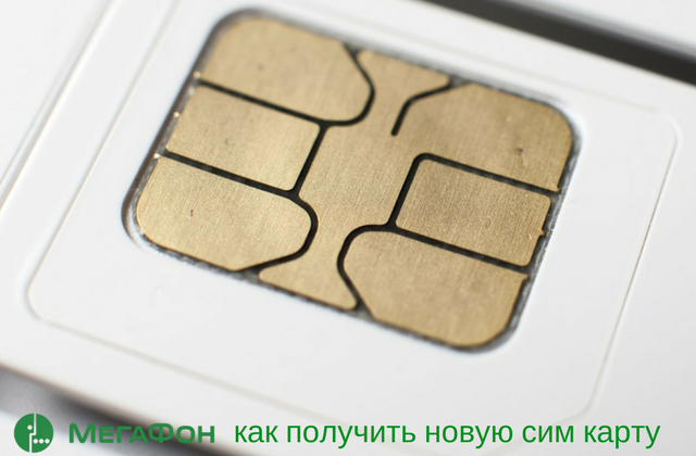 Сколько контактов вмещает сим карта