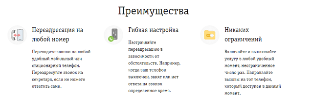 Возможности переадресации на Билайн