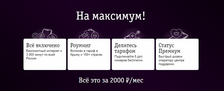 Тариф Билайн "На максимум!"
