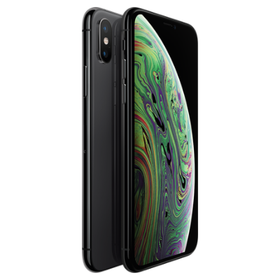 Apple iPhone XS 64GB Space Gray (Серый Космос)