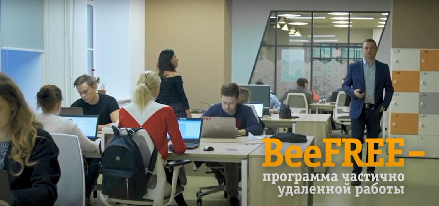 Концепция BeeFREE