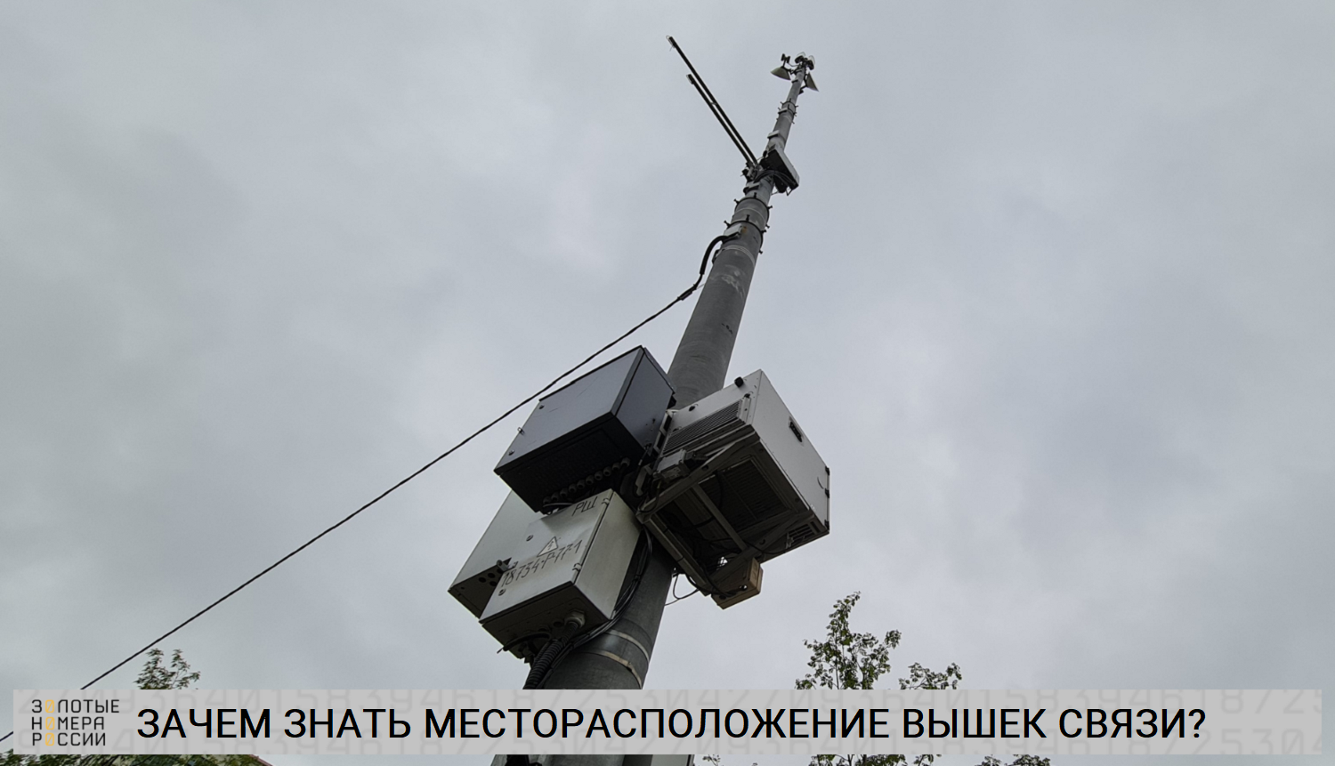 Базовые станции сотовой связи: как узнать, где они находятся - ТопНомер.ру