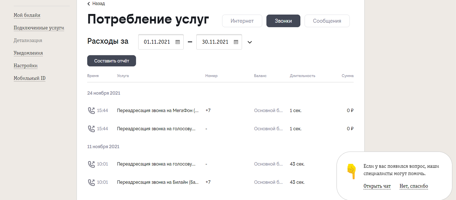 Что отображается в детализации на билайн