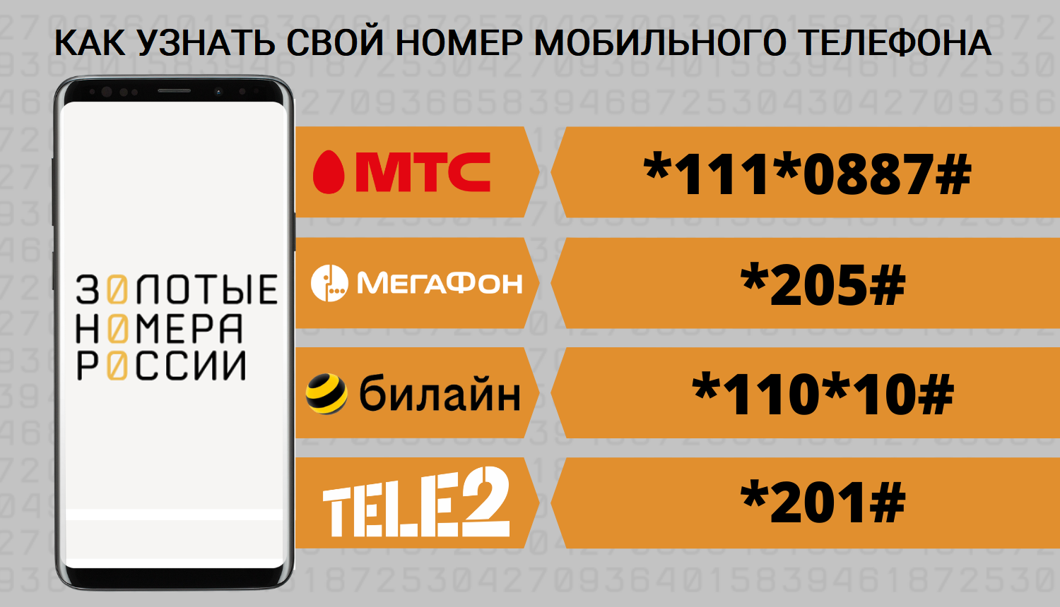 Как пополнить баланс, если вы забыли свой номер телефона - ТопНомер.ру