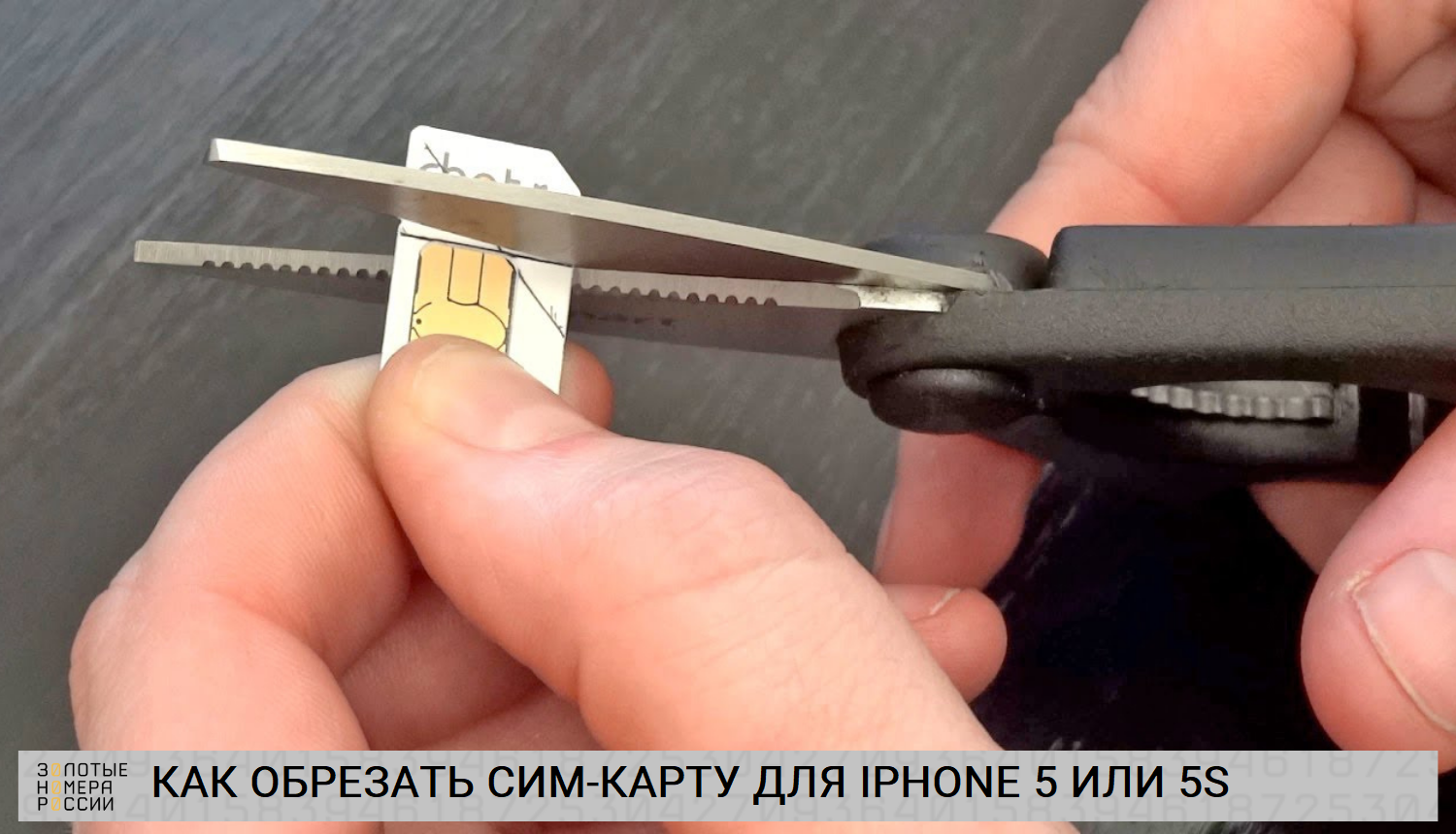 Как обрезать сим-карту для iPhone 5 или 5S