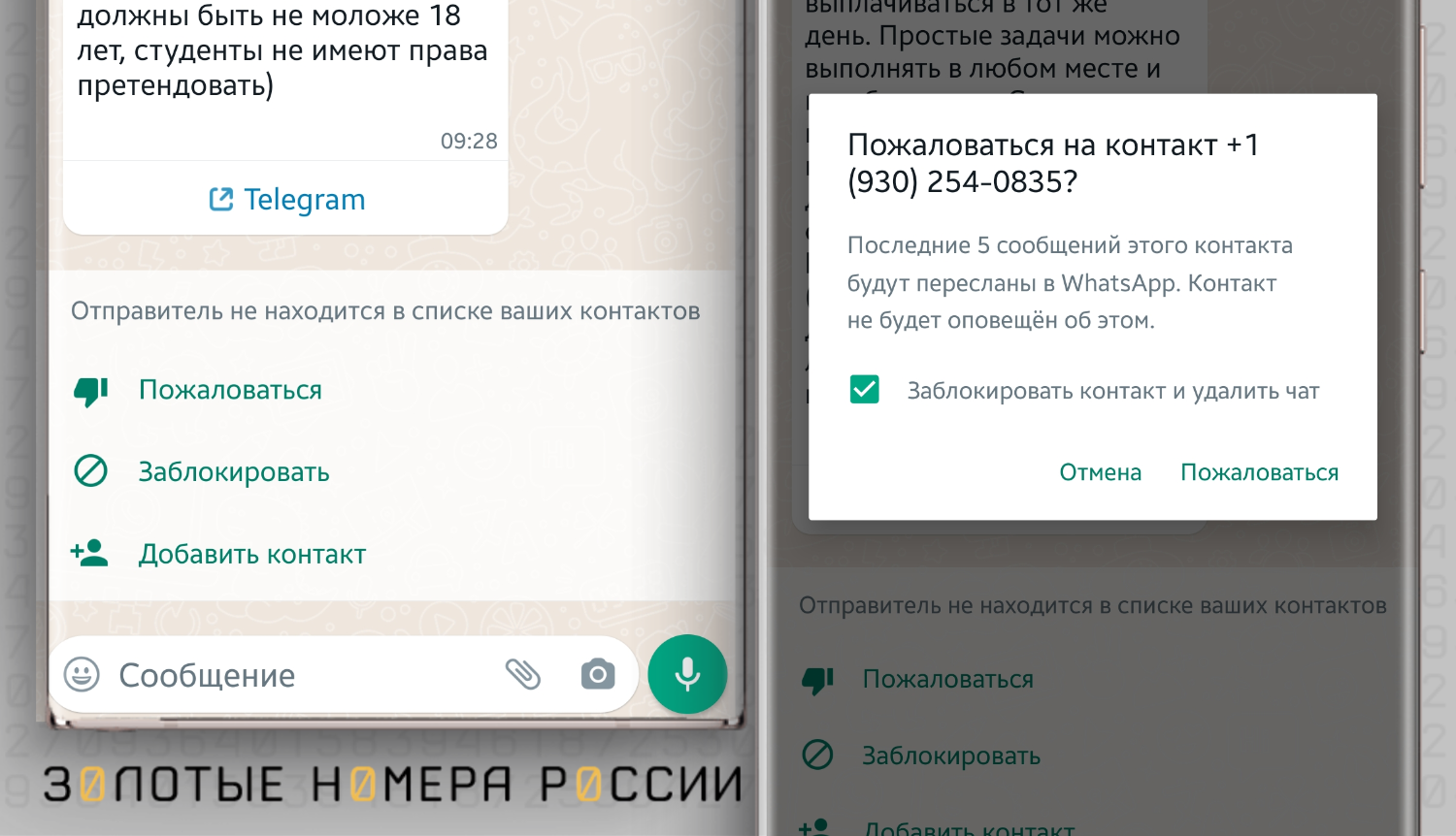 Как пожаловаться на контакт в WhatsApp<br>