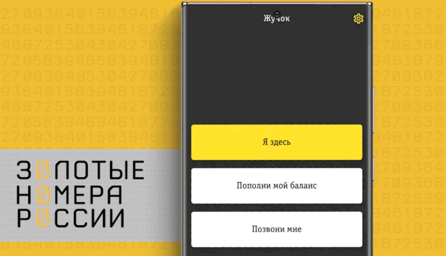 Локатор от билайн. КАНГИ найти тебя