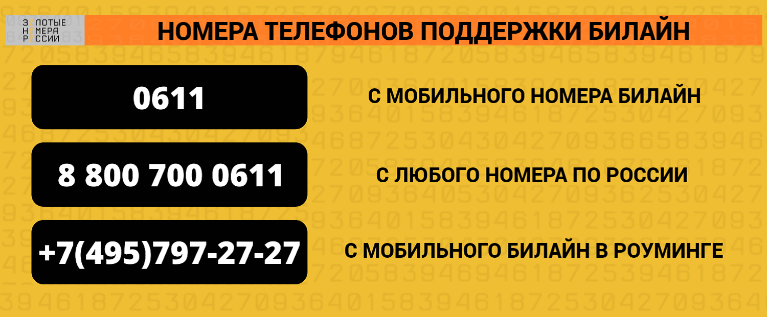 Номера телефонов службы поддержки билайн