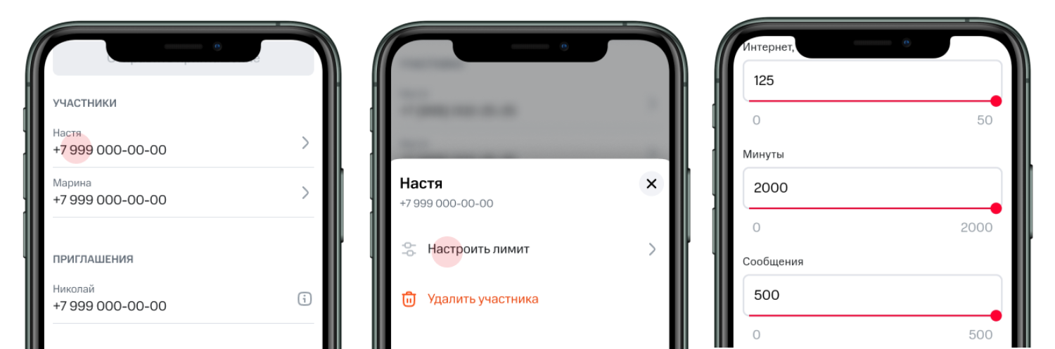 Основное описание услуги 