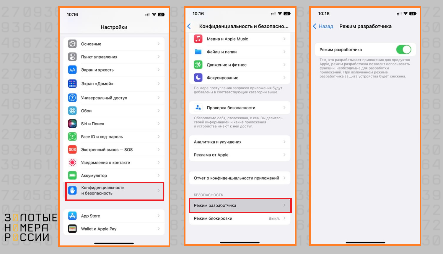 режим разработчика ios