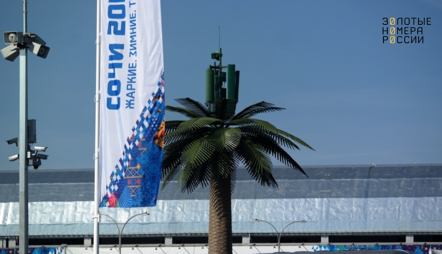 Вышки сотовой связи МегаФон замаскированные под пальмы в Сочи<br>