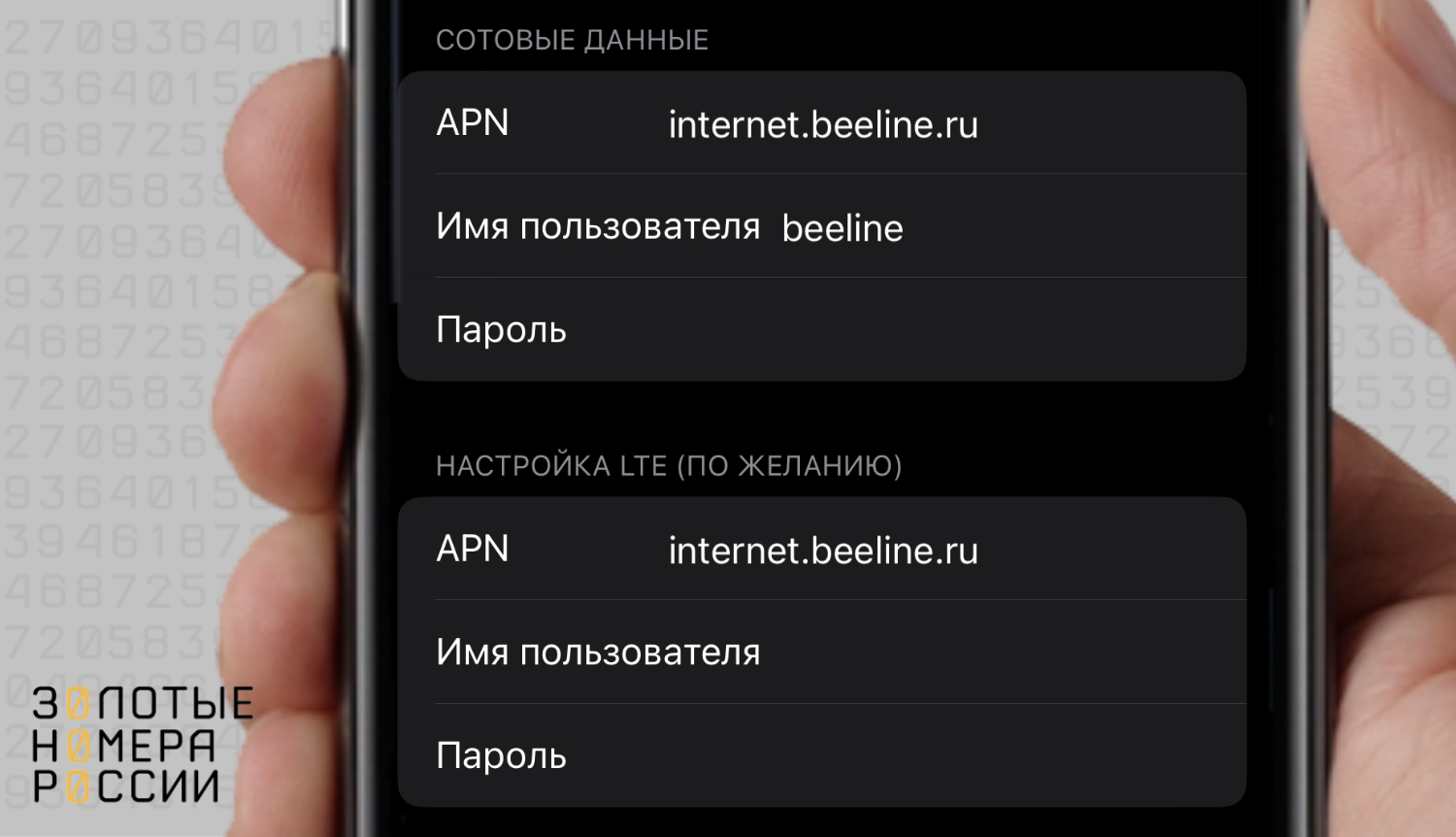 Настройка точки доступа на iPhone