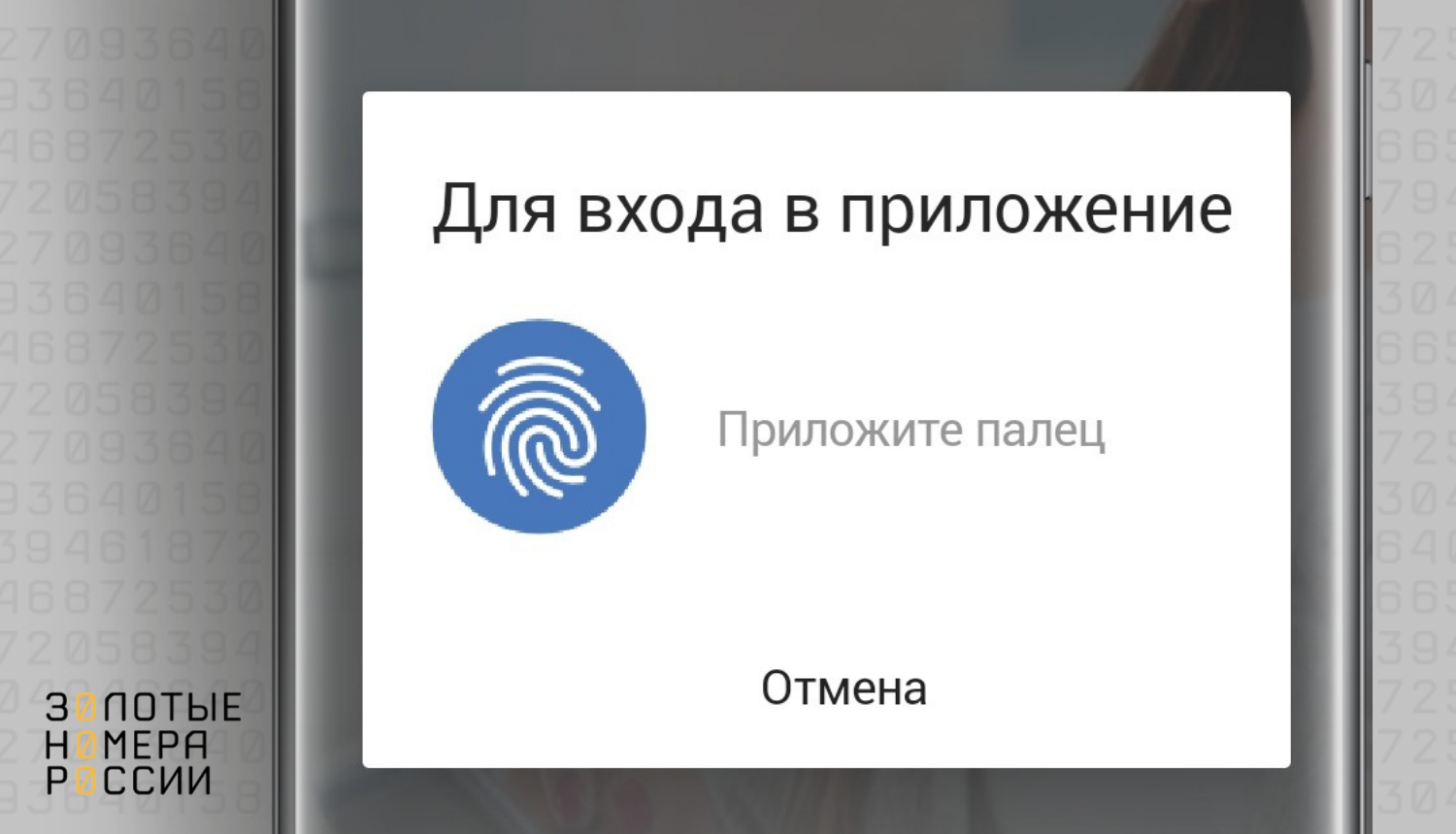Использование биометрии в мобильных телефонах<br>