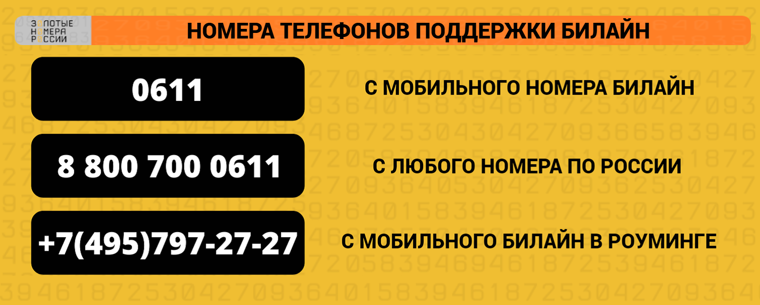 Номера телефонов поддержки оператора билайн